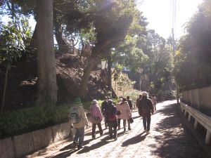 IMG_4924qo